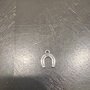 Silver Horseshoe Charm Pendant